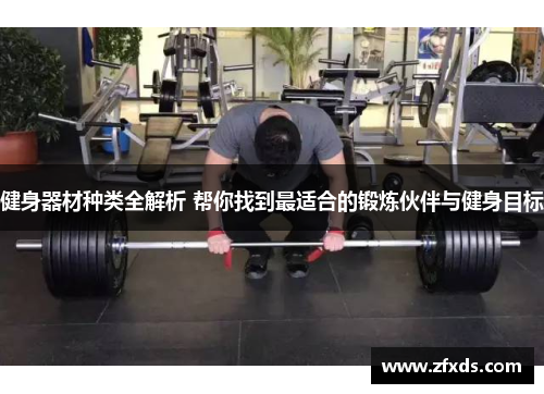 健身器材种类全解析 帮你找到最适合的锻炼伙伴与健身目标