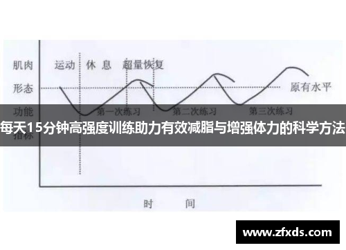 每天15分钟高强度训练助力有效减脂与增强体力的科学方法