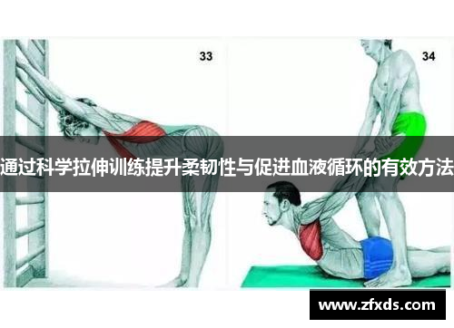 通过科学拉伸训练提升柔韧性与促进血液循环的有效方法
