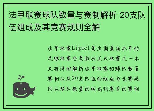 法甲联赛球队数量与赛制解析 20支队伍组成及其竞赛规则全解